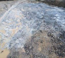 Mr Toupie qui s'est lâché sur notre terrain....