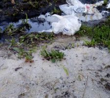 Trouvailles sur le chantier