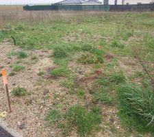 Délimitation du terrain avant terrassement
