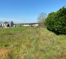 Etude de sol de notre terrain