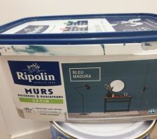 Peinture choisie : bleu madura de ripolin