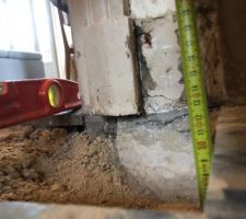 La vie sous les carreaux de ciment....