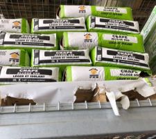 La vie sous les carreaux de ciment....