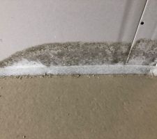 La maison est cens&eacute; &ecirc;tre hors d?eau