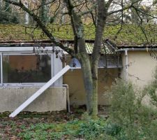 Dépendance à détruire