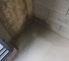 Infiltration bas du mur séjour