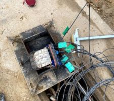 La fibre !