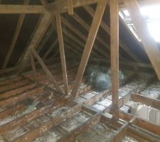 Photo après avoir enlever un plancher existant .