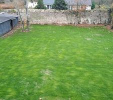 Tjrs la pelouse, quasiment plus de trous