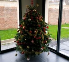 On oublie pas le sapin de noel
