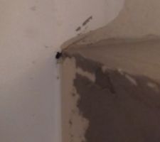 Test étanchéité raté du à de nombreux gros trous entre l'escalier et le placo et l'encadrement des ouvertures (portes et fenêtres) et le placo