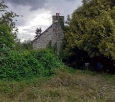 Fa&ccedil;ade Ouest, gros sapin &agrave; abattre!