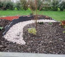 Nouveau massif avec plante d'ombre