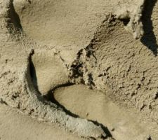 Aspect d'un mortier de réparation : on voit nettement les fibres présentes dans le mortier.