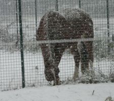 On dirait qu'il n'a pas froid...nous oui !!!