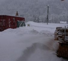 Neige : 75 cm à 1000 mètres, pas mal !