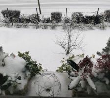 Le jardin vu  de la chambre, dépaysement total !