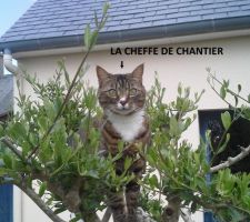 LA CHEFFE DE CHANTIER