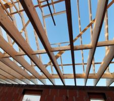 La trémie du velux