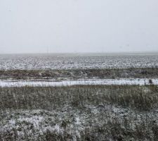 Vue sous la neige