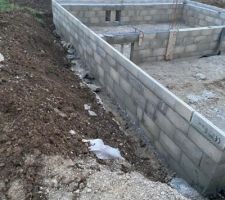 Vide sanitaire