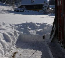 Neige en janvier 2021 à la Bistorte : c'est bien aussi avec le soleil !