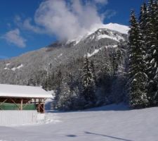 Neige en janvier 2021 à la Bistorte : c'est bien aussi avec le soleil !