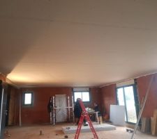 Pose du placo au plafond