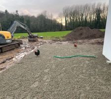 Terrassement final du terrain. Remblais pour future terrasse, avec les poules du voisin qui visite !!