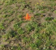 Implantation de la maison par le g&eacute;om&egrave;tre