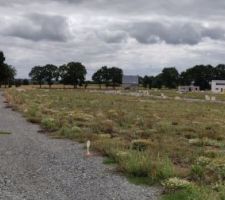 D&eacute;but de voierie