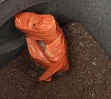 Un 2 eme regard, on n'est pas censé voir une canalisation? Un branchement, d'où les pre-trous? Au lieu de ça on voit la gaine verte des telecoms, qu est ce qu'elle fait là ?