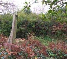 Septembre 2019 / Visite du terrain avant achat