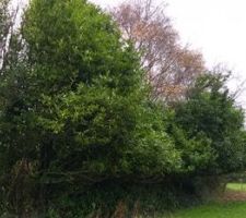 Septembre 2019 / Visite du terrain avant achat