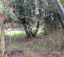 Septembre 2019 / Visite du terrain avant achat