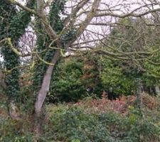 Septembre 2019 / Visite du terrain avant achat