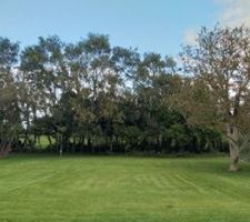 Remise en état du terrain (partie non constructible) après plus de 10 ans laissé en friche (élagage, dessouchage, déchetterie, retournement de terre, engazonnement, plantations,...)