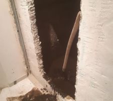 Nettoyage de la cuve