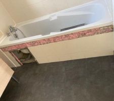 Aurevoir les coquillages