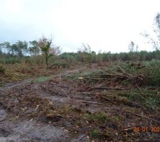 Début des travaux de viabilisation_2