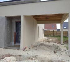Crépis avant décoration brique