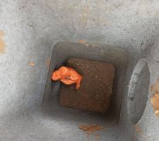 C'est une blague !!! Les regards dans l'allée, qui sont vides, excepté la gaine Télécom dans l'un et la gaine électrique dans l'autre...
Ils ont Coupés les gaines??? Et je fais comment pour le reste du chemin jusqu'à la maison ???? ?? (rires nerveux)