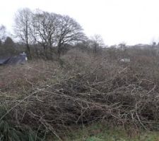 D&eacute;but de journ&eacute;e, le 29 janvier. Grosse journ&eacute;e broyage des branches de 7 ch&ecirc;nes abbatus.