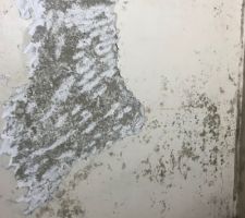 Exemple du mur du fond.
Du plâtre en surface qui part par plaques par endroits.
Sous le plâtre, je dirais que c'est du ciment.
En bas à droite de zone grattée, on dirait des champignons...