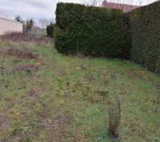 &Ccedil;a y est voici quelques photos prises du terrain avec l'emplacement des plots du g&eacute;om&egrave;tre ?