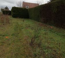 &Ccedil;a y est voici quelques photos prises du terrain avec l'emplacement des plots du g&eacute;om&egrave;tre ?