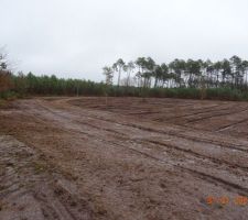 Vue globale du lotissement au 31 janvier 2021