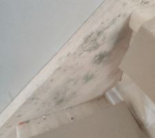 Rendez-vous du 22/01/2021 avec le conducteur de travaux.
Traces de moisi sur l'escalier