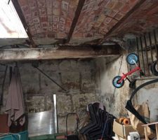 Habillage de cette cave humide