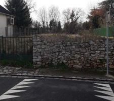Terrain trouvé. Petite façade 9m